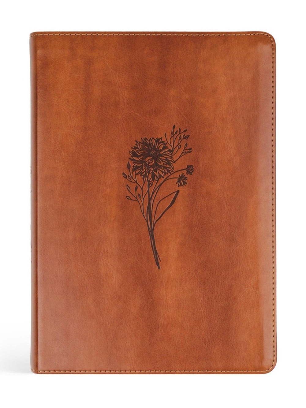 Hosanna Revival Sierra Theme ESV Large Print Journaling Bible